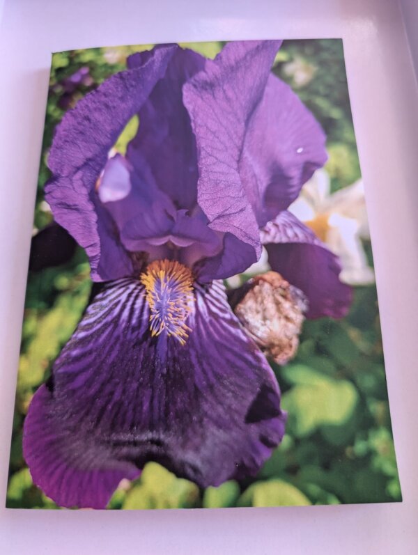 Iris Notepad