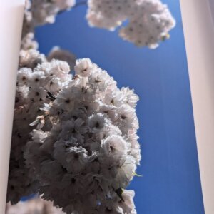 Blossom Notepad